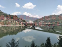 其它圖