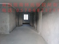 其它圖